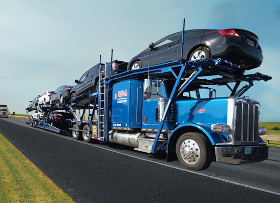 Enclosed & Open Carriers